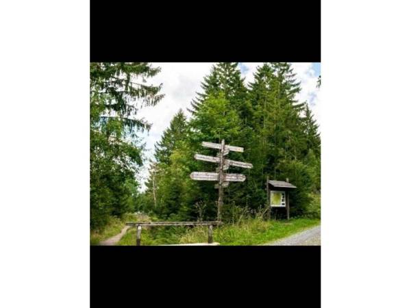 FeWo Harzliebe Altenau