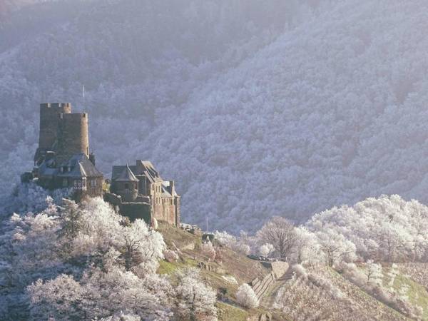 Moselhotel Burg-Café