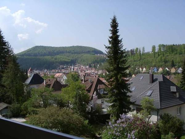 Ferienwohnung Lammerberg