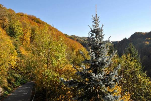 FeWo Radi an der Buchberger Leite