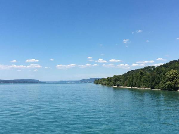 Ferienwohnung im Grünen