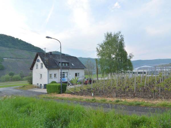 At the Mosel shore located apartment on the route of the famous Moselsteig