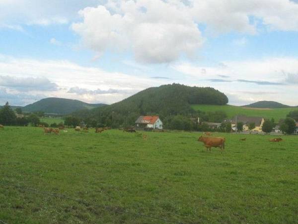 Enticing Apartment in Stormbruch near Ski Area