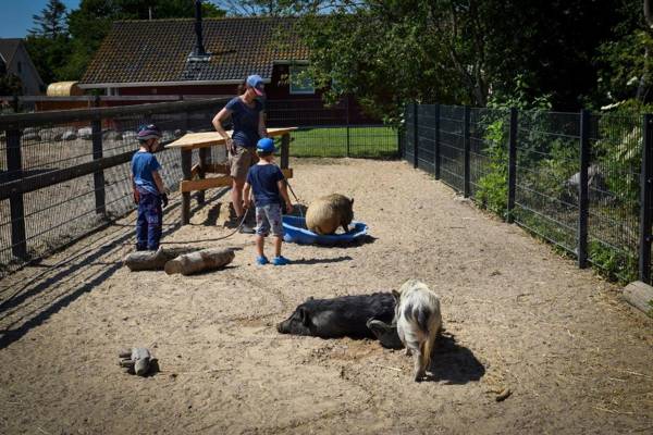 Ferienhof Nina Weilandt