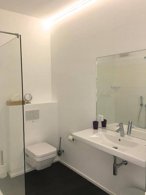 Weingut-Aparthotel Olinger