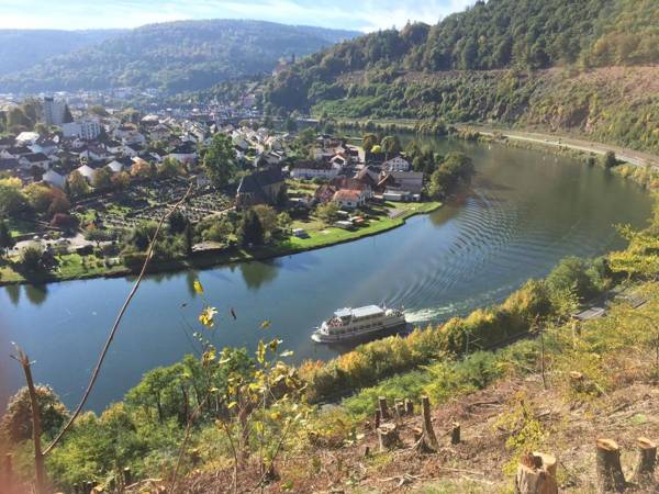 Romantisches Hirschhorn am Neckar