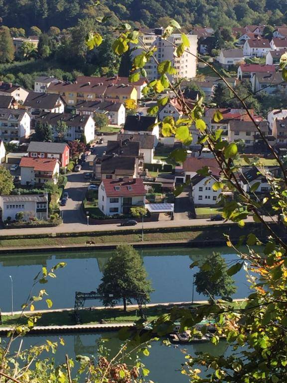 Romantisches Hirschhorn am Neckar