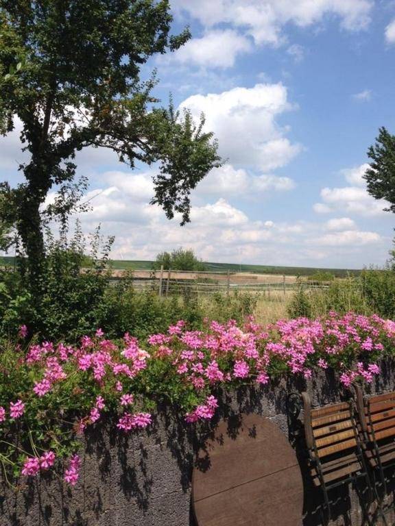 Ferienwohnung Am Backhausgarten