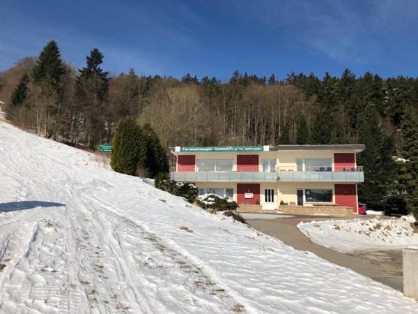 Haus am Sonnenlift - Fewo C - Fewo D