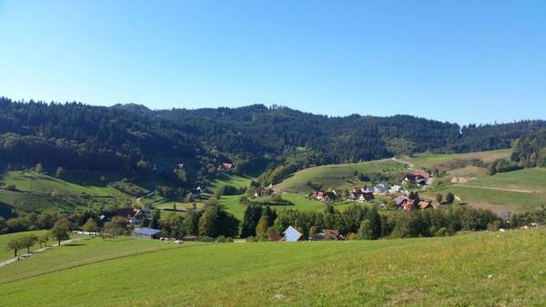 Ferienwohnung Hohfelsenblick