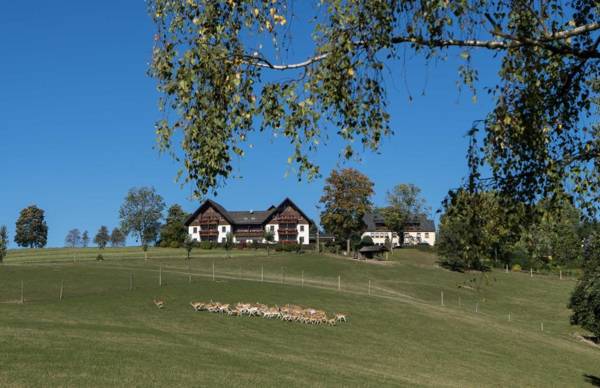 Ferienappartements Rausch