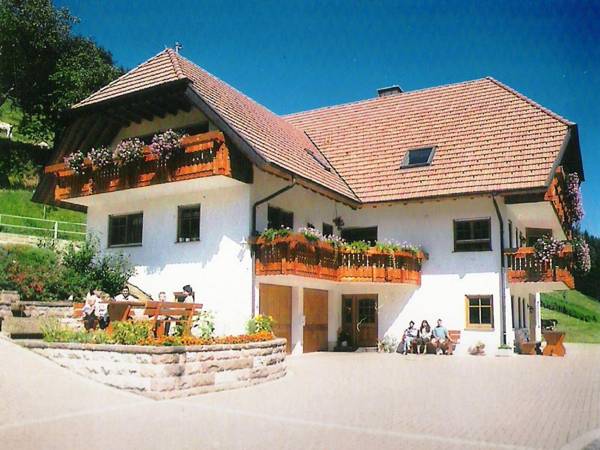 Comfy Apartment in Salmensbach near River