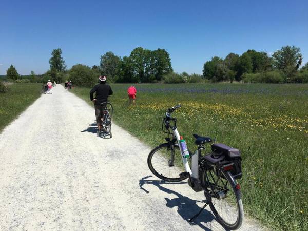 Haus Schussenblick OG