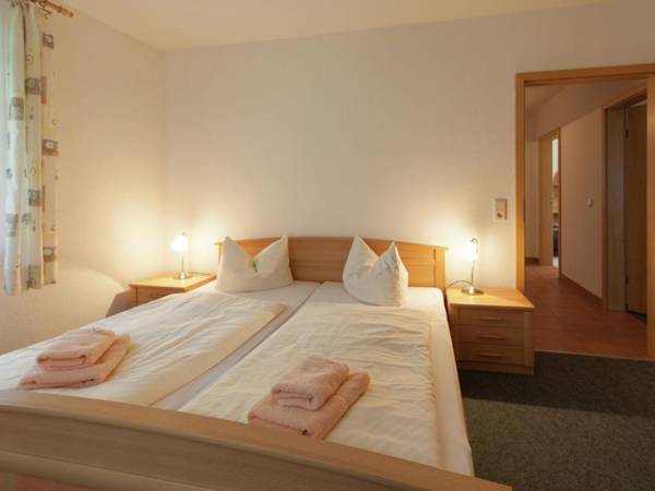 Modern Apartment in Reinhardtsdorf Sch na near Ski Slopes