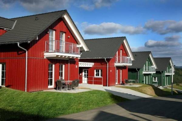 Luxurious holiday home with dishwasher in the Hocheifel