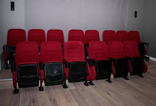 Ostfriesland Ferien Villa - 24 Personen - Sauna Whirlpool  Kino und Bar - a57584