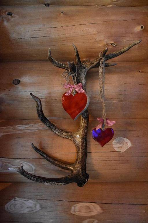 Chalet-Enzian-Bayerwald