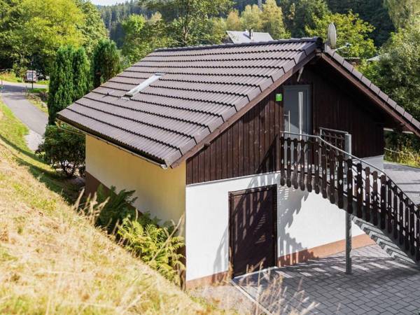 Apartment in Goldisthal with Terrace Parking Heating Bikes