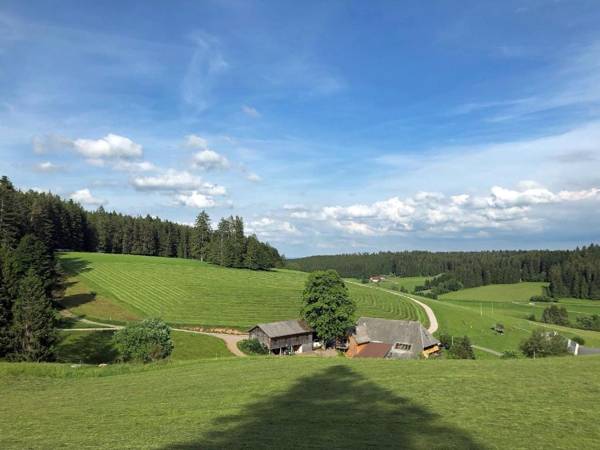 Unter der Linde