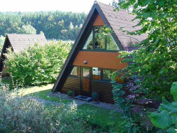Wooden bungalow with a terrace in a wooded area