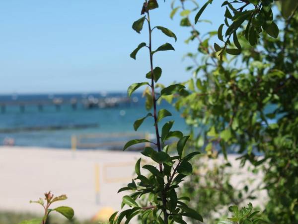 Cozy Bungalow in Stove Germany near Baltic Sea