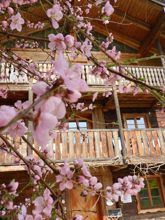 Wampendobler Paradies