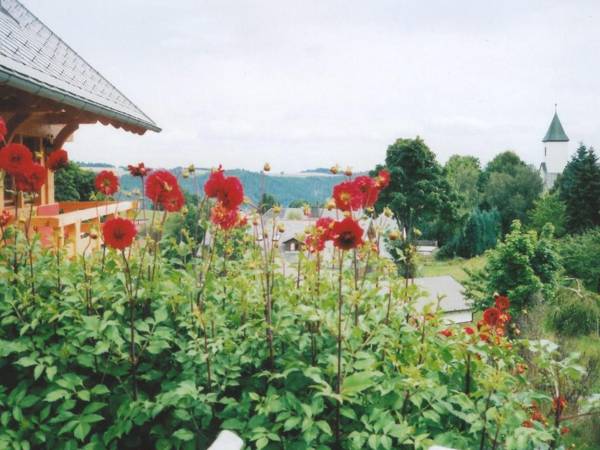 Lovely Apartment in Dachsberg Urberg with Roof Terrace