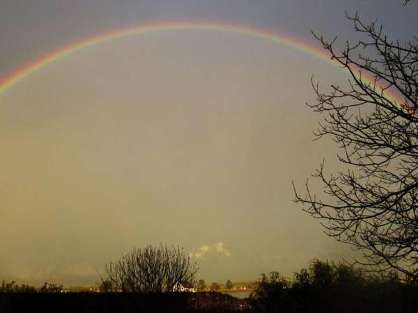 Ferienwohnung Regina Boll