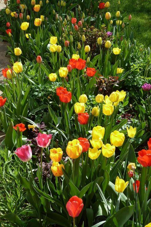 Ferienwohnung Nörpel