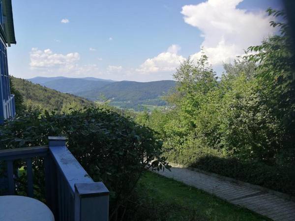 Blick zum Lallinger Winkel