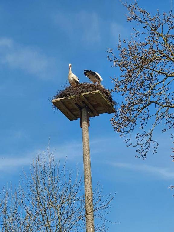 Ingrid&primes Ferienwohnung