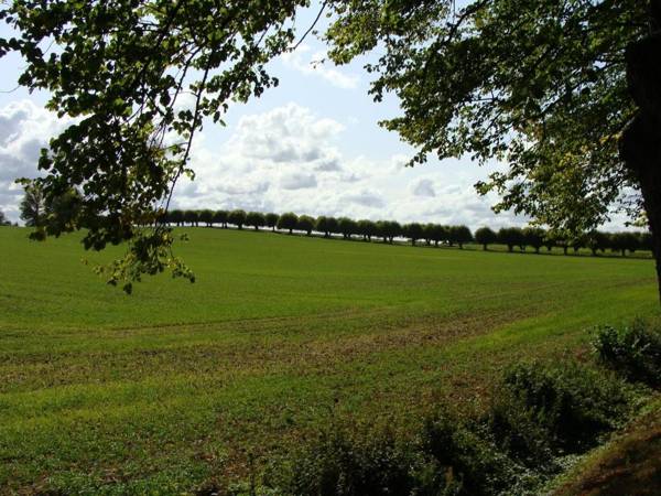 Ferienhaus Am Linden-Brink