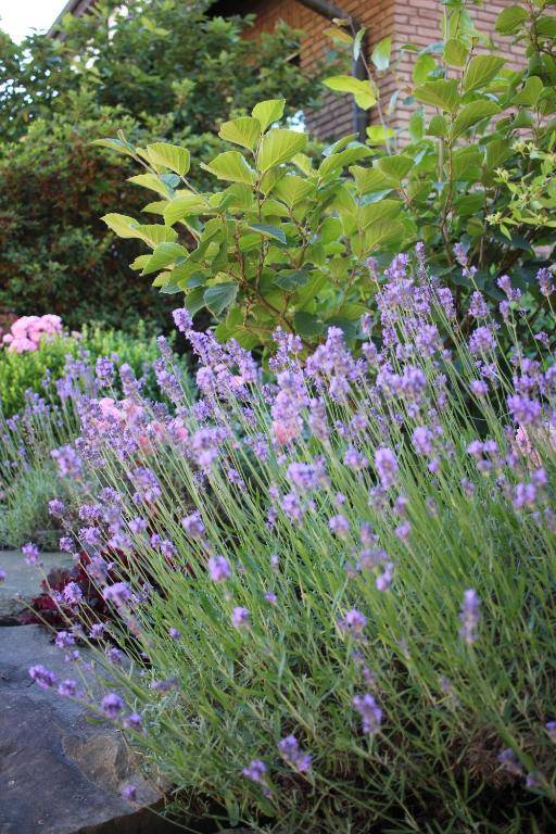 Ferienwohnung zum Nutscheid