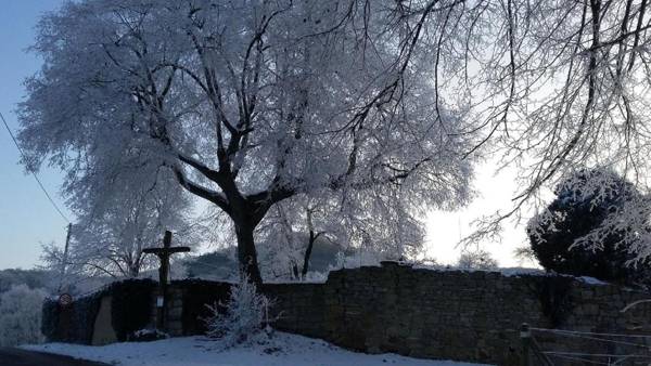 Ferienwohnungen Lindleshof