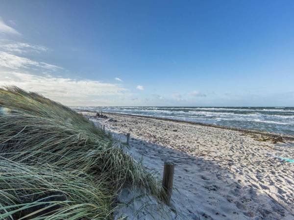 Buhne 14 Graal-Müritz