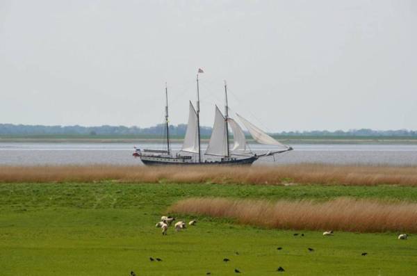 Auszeit am Elbdeich in Sankt Margarethen