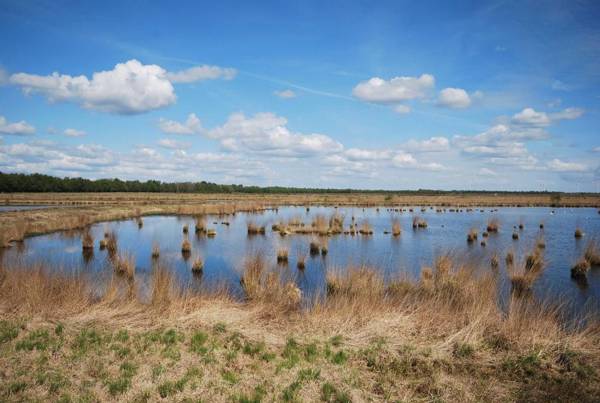Ferienwohnung Anne 35657