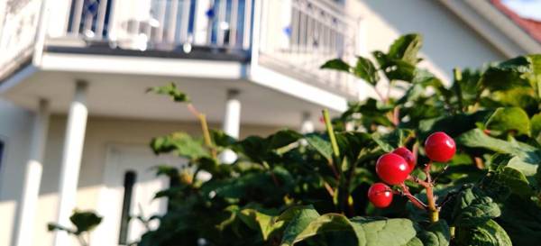 Ferienwohnung am Hollergraben