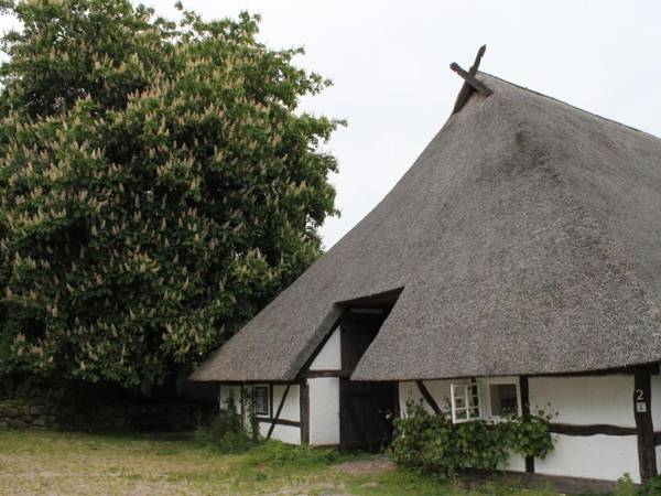 Quaint Apartment in Reddelich with Sauna