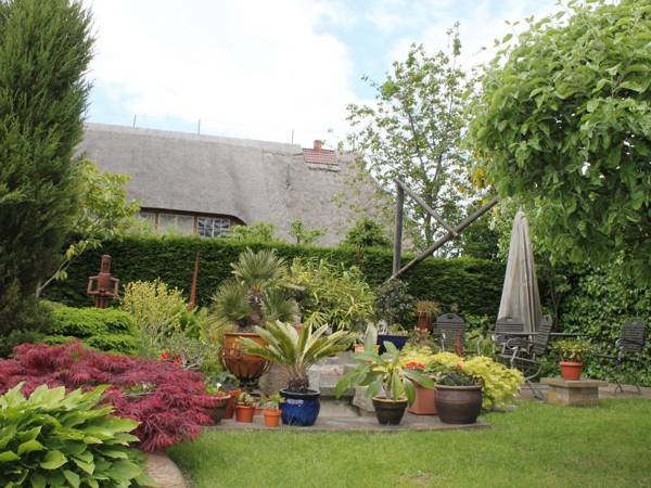 Comfy Apartment with Terrace Garden Heating and Barbecue