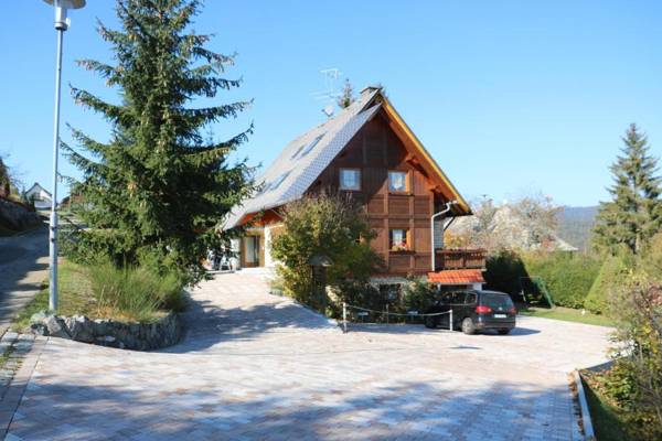 Ferienwohnung Seeblick Nr 5 2 Zi-Bärental Feldberg