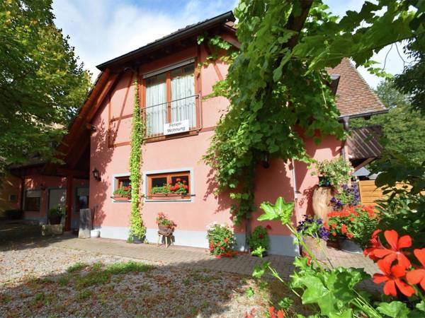 Comfortable Apartment in Freiburg with Garden