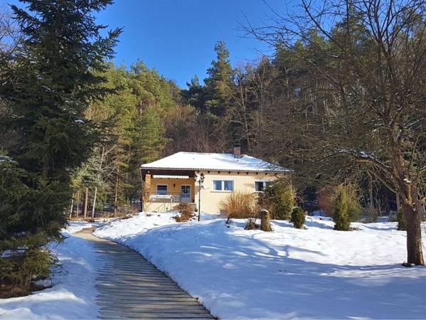 Cozy Holiday Home in Sachspfeife with Sun Terrace