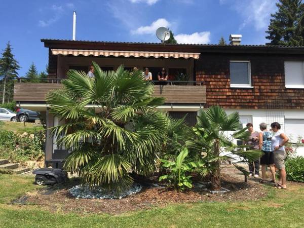 Ferienwohnung Palmengarten