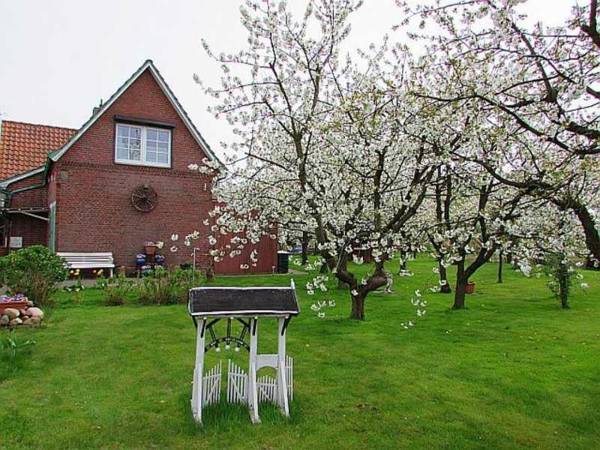 Knubberhaus Das Ferienhaus im Kirs
