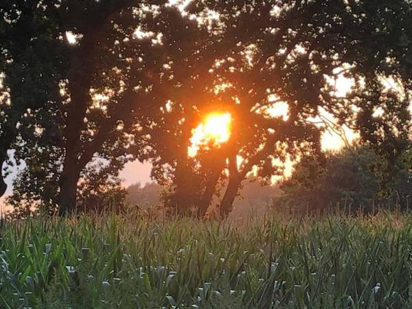 FeWo Kornkammer Nähe Plauer See