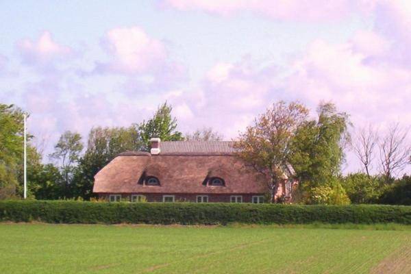 Holmsland Bed & Breakfast