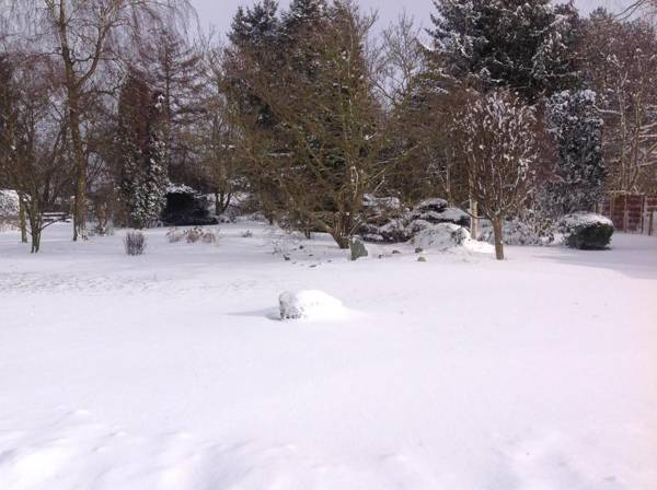 Dyrlev Bed & Breakfast