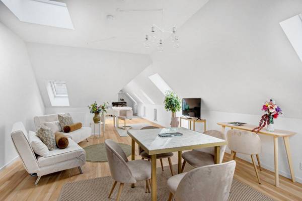 Spacious and Bright 1 bedroom apartment with terrace in central Copenhagen
