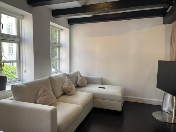 Luxury Apartment in the Heart of Copenhagen